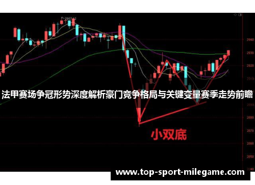 法甲赛场争冠形势深度解析豪门竞争格局与关键变量赛季走势前瞻